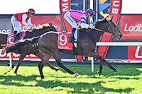 ZINOVATION BREAKS THROUGH FOR WELL DESERVED WIN!.